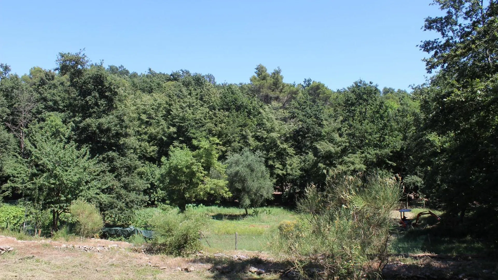 Casa Nel Bosco Sul Golfo Dei Poeti - Bruxinha Villa Monte Marcello Holiday home